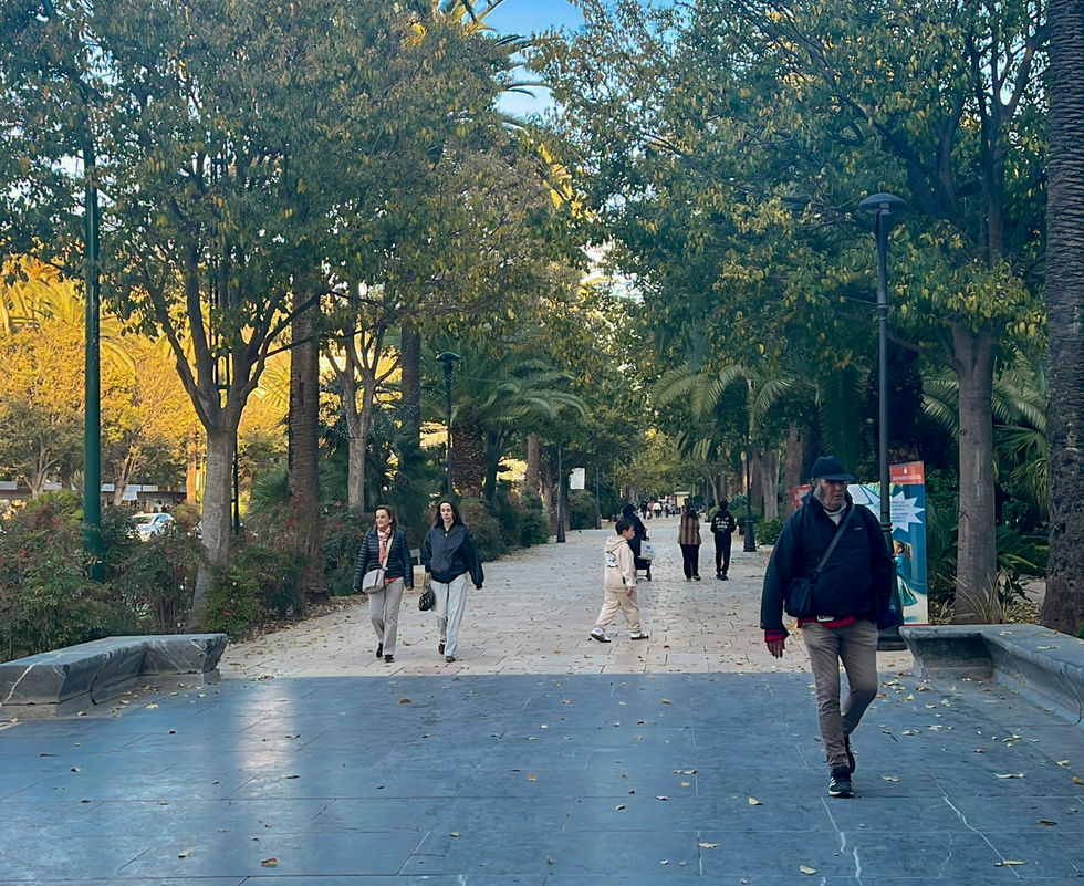 Paseo del Parque with people walking