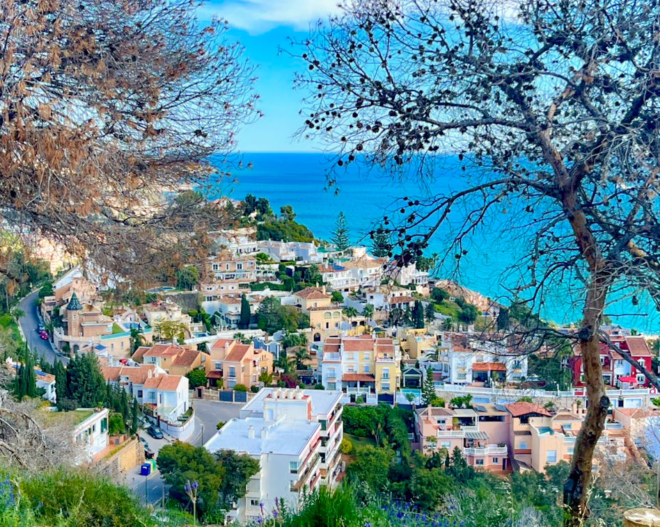 2025-03-27 Sendero al Monte Victoria 04