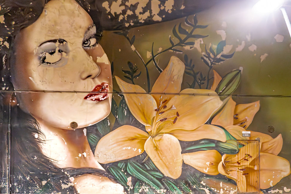 Arte urbano de Moxaico en Almería