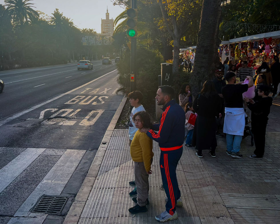 Paseo del Parque with christmas market