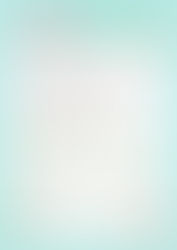 2025년 11월 급식 가정통신문