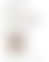 2025 3월 1주 공지사항