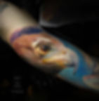 Realismo a Cores