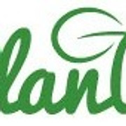 chsplant logo