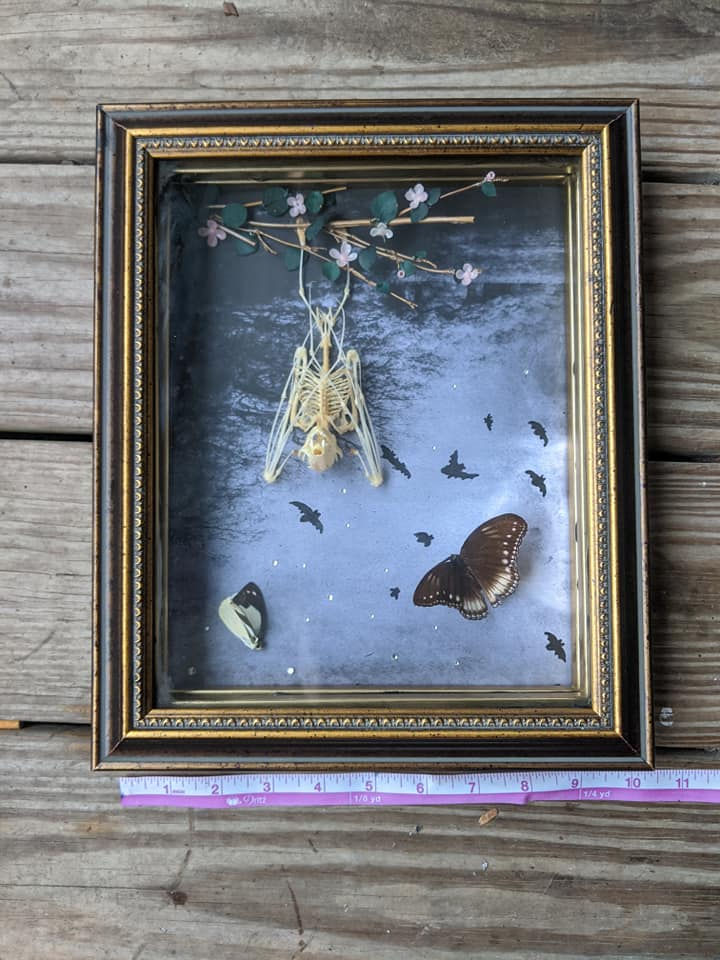 Thumbnail: Bugs and Bats