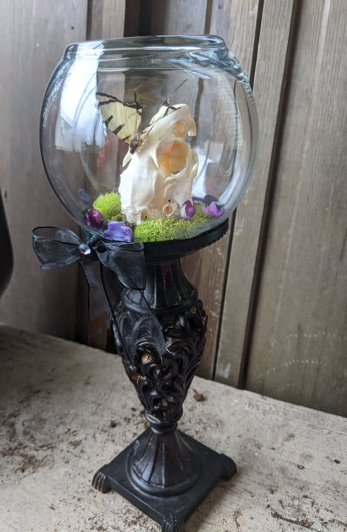 Thumbnail: Butterfly and Hare