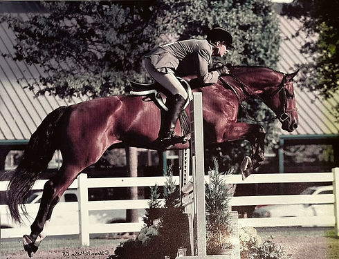 Boys on Hill owner, John Abbott, dressed in competition attire is riding a dark brown horse that is mid-jump.
