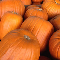 farm-pumpkins.jpg
