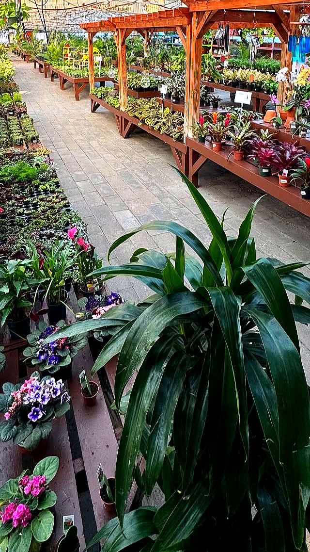 Garden Center & Nursery in Saratoga Springs, NY | Sunnyside Gardens