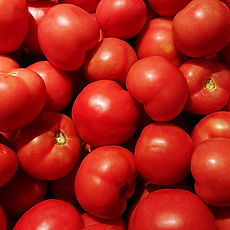 farm-tomatoes.jpg
