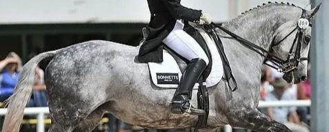 Susan Paix riding Etiquette