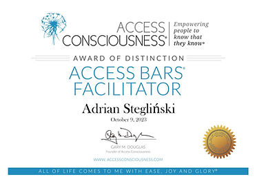 Bars Access Consciousness Facilitator Certification