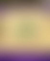 A Day at the Avondale Farmer’s Market