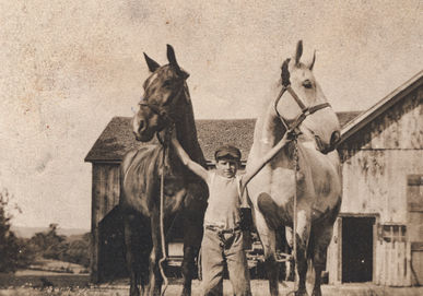 miller street horse farm_retouched_color.jpg