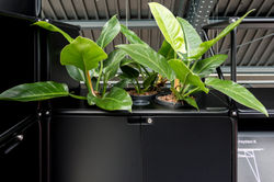 System180 & Florafilt @ designpost (6)