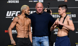 Rest? What's Rest? UFC 256 Predictions