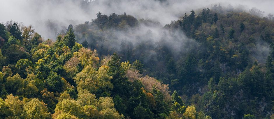 Zapraszamy na medytację dzisiaj 15 październik