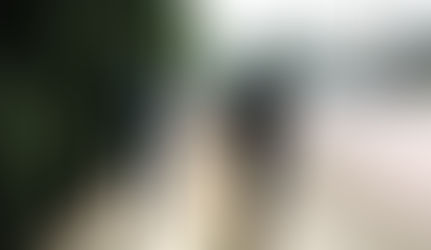 Przeznaczenie czy wybór?