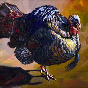 Wild Turkey