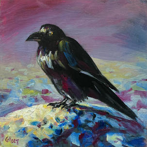 Snow Raven