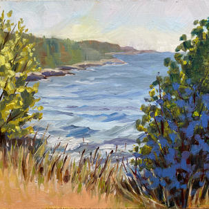 Good Harbor Bay