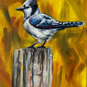 Blue Jay