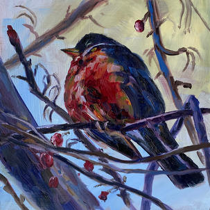 Robin
