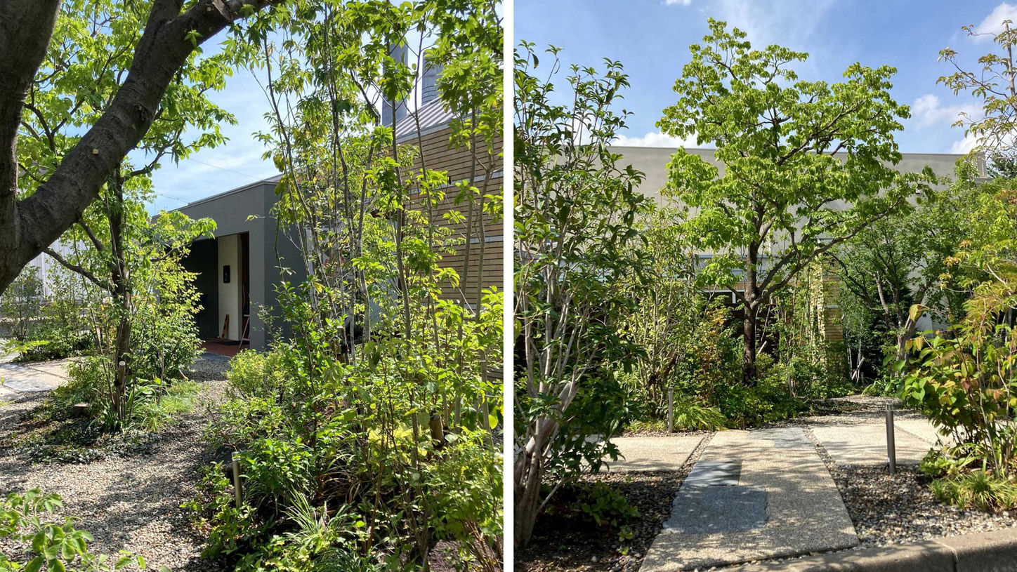 つながり引き継ぐ庭｜ガーデン工事（リノベーション）