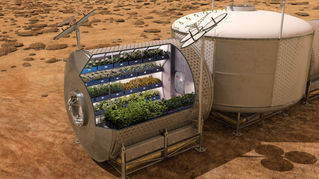 Astronauts have grown plants in space!