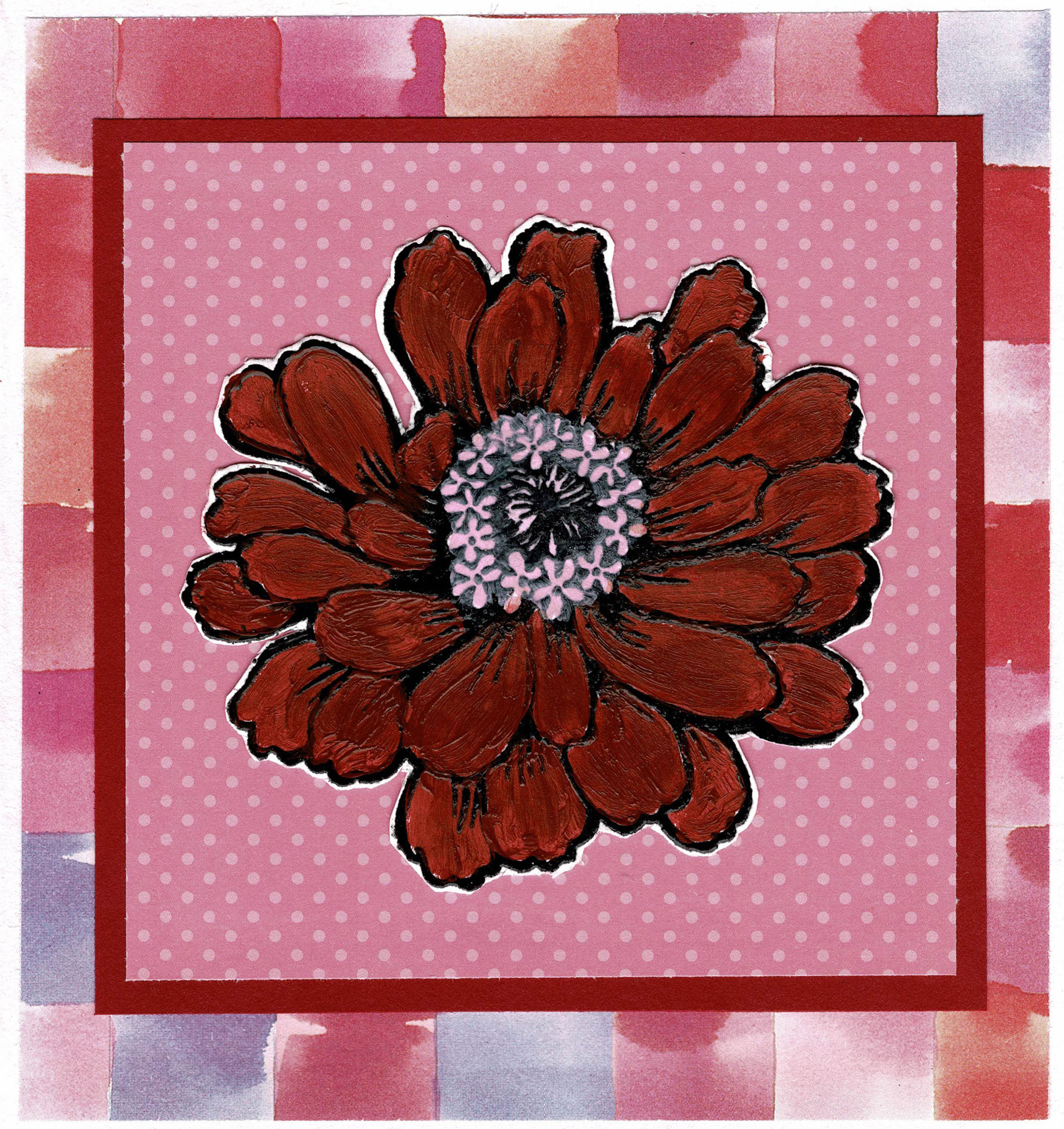 Zinnia Series - Red Zinnia on a Pink Polka Dot and Plaid Background