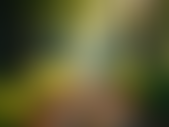 The Nomad & The Gypsy Soul: A Sacred Leadership Archetype