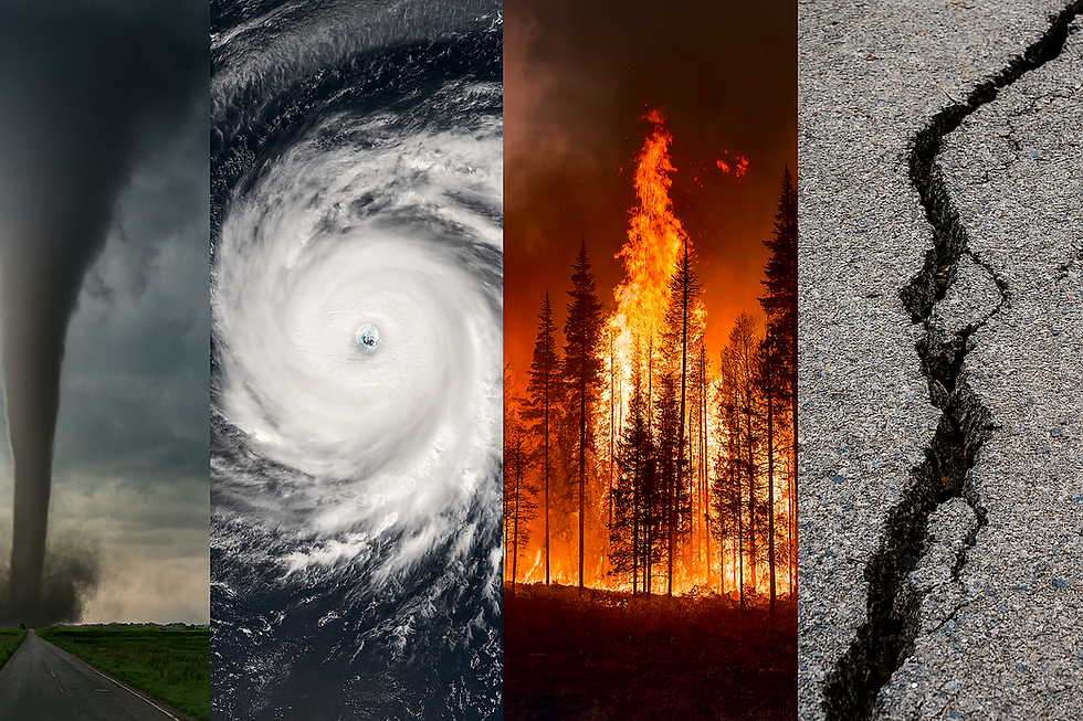 Four panel of natural disasters