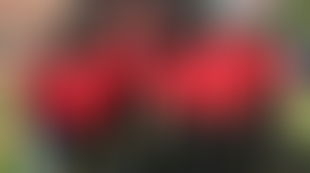 The P-Tropolis Corporation Shows Love-Giving Back To The Community