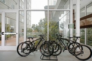 Element-Bikes-to-Borrow-300x199