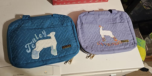 Custom travvel vanity bags