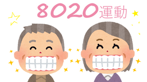 「8020運動」