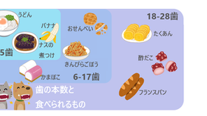 「おいしく食べるには歯が何本必要？」