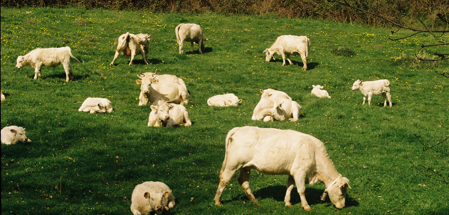 Elena Riera-48_recortada.jpg