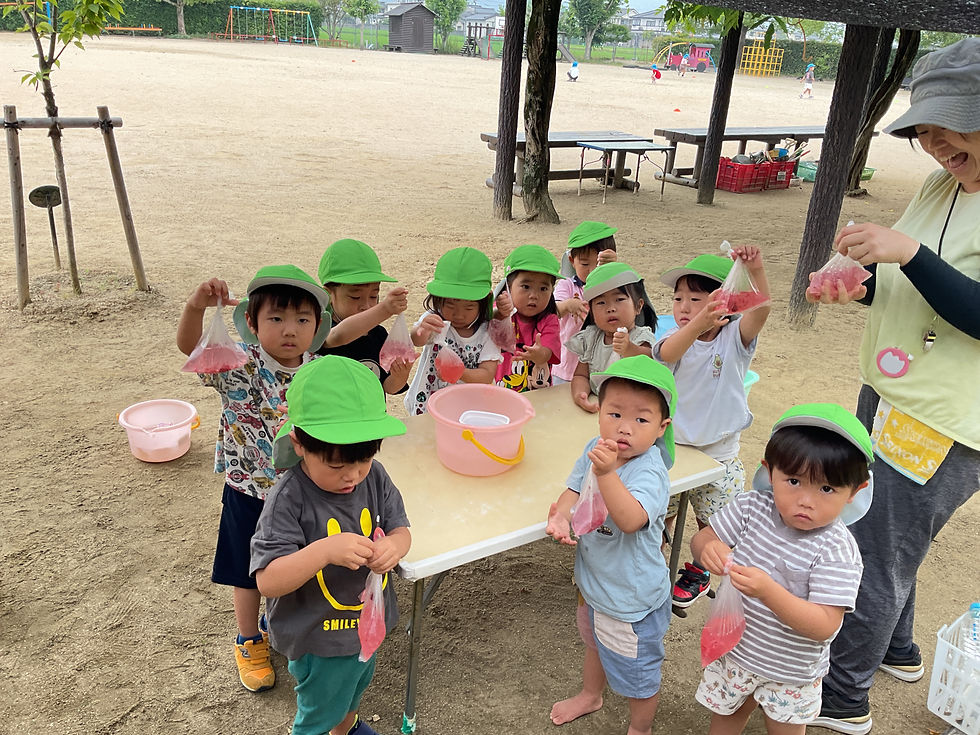 ヤマモモの実で色水したよ