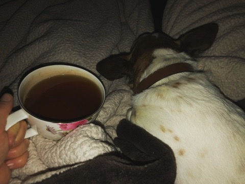Morning Rituals