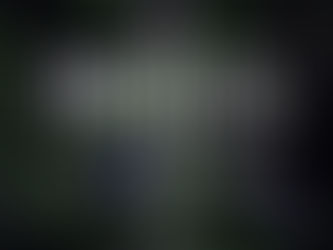 All The Girls Are Reading It