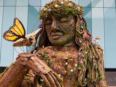 Bracknell Forest Giants - ITV Meridian