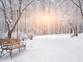 Digital Content Strategy - Winter 2024