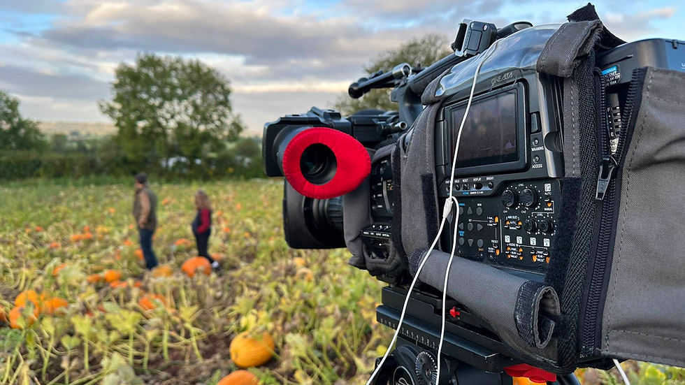 Seasons Out of Sync: Cheddar’s Pumpkins Tell Climate Story - BBC Breakfast