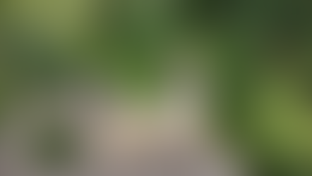 Wildlife Haven in Yeovil Churchyard