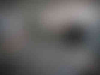 BBC South Today D-Day 80 coverage with solo16 Broadcast