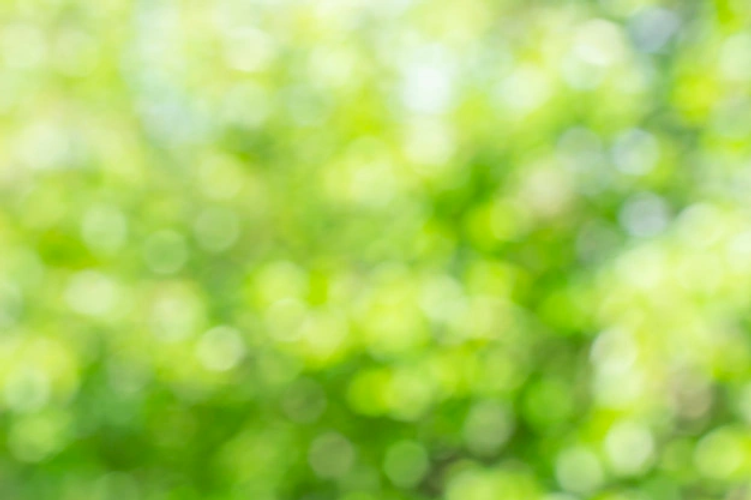 fond-nature-verte-defocalise-ensoleille-