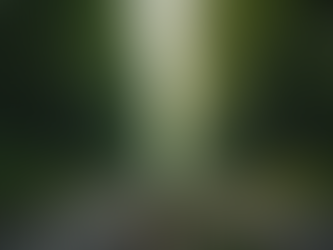 Connecting with Spirit Guides for Personal Insight