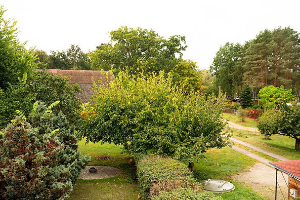 20231006_Ferienwohnung_Zesch_am_See_79.jpg