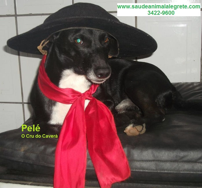Pele